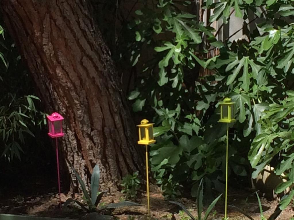 Garden Hotel Tuluza Zewnętrze zdjęcie